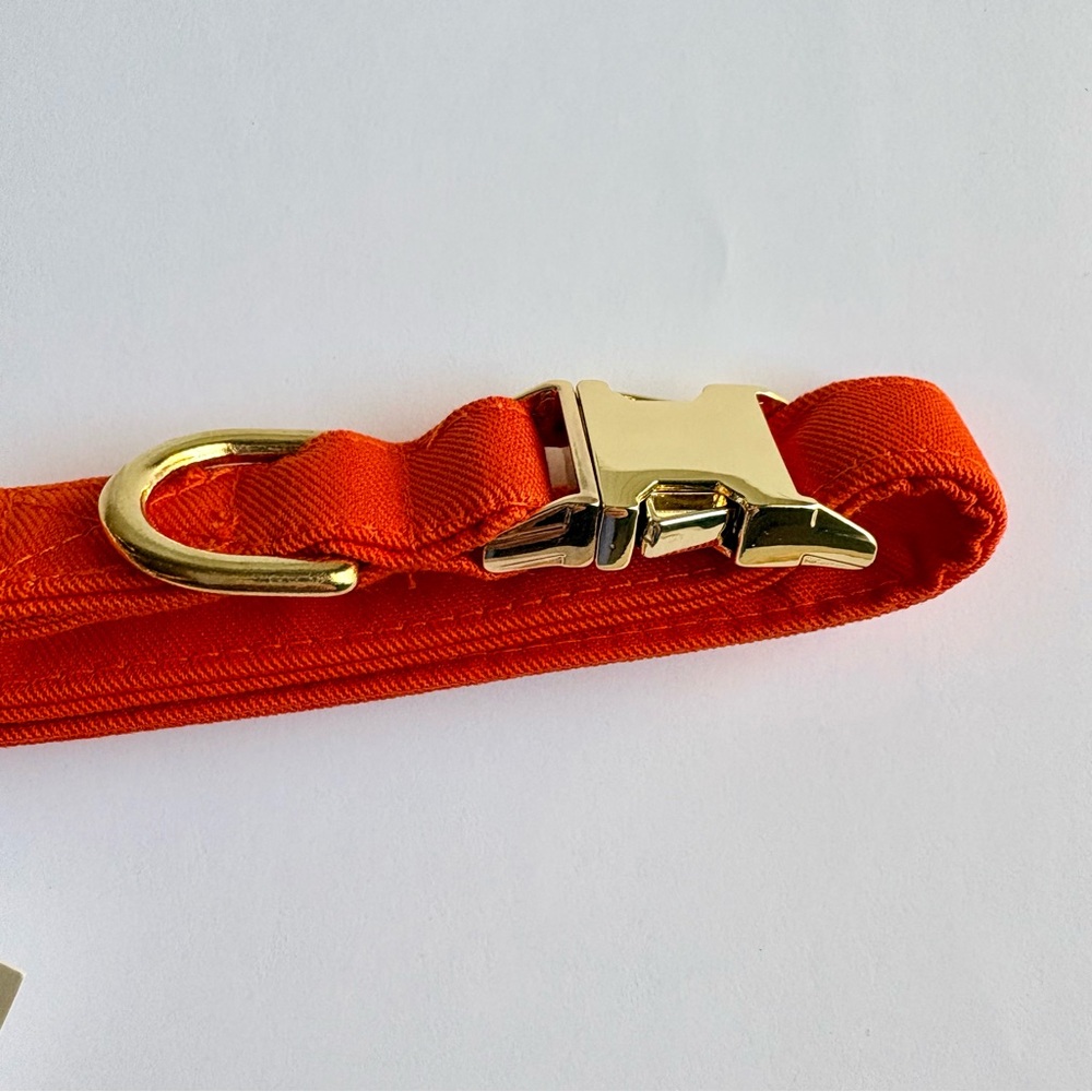 The Foggy Dog Orange Dog Collar Small Gold Hardware Pet Fall Harvest NEW w/ tags - Picture 6 of 13